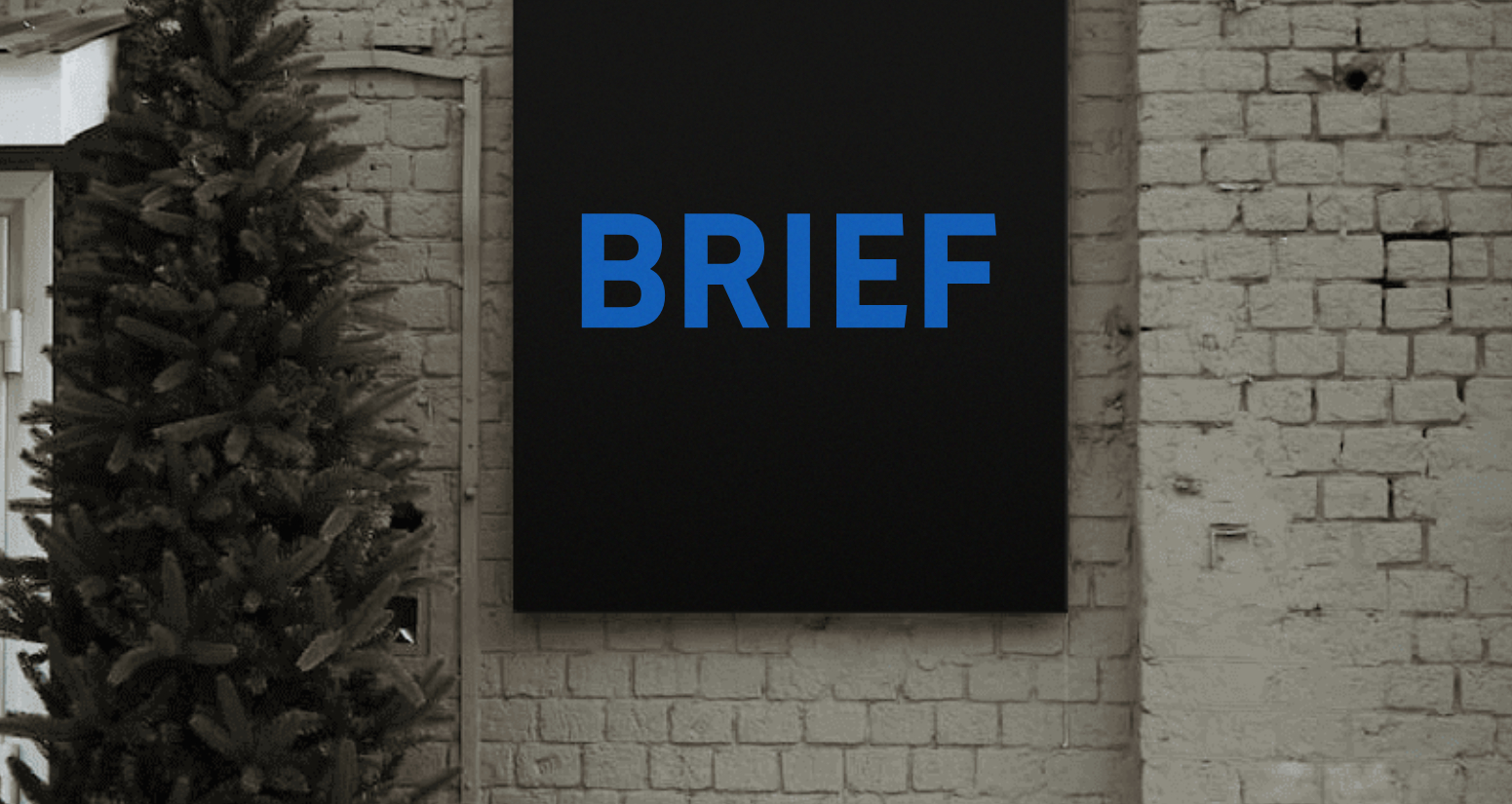 Company logo «BRIEF» 4