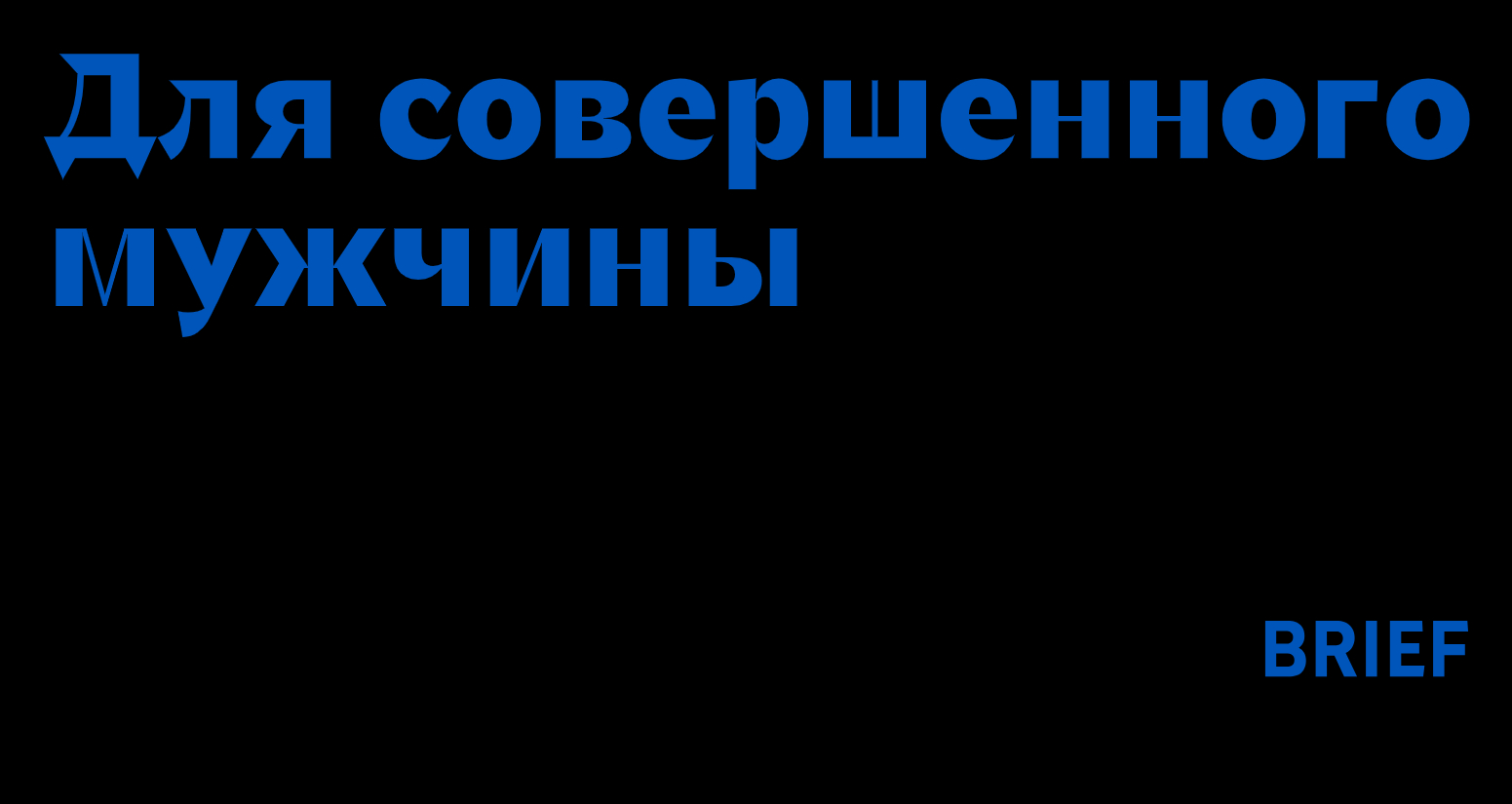 Company logo «BRIEF» 5
