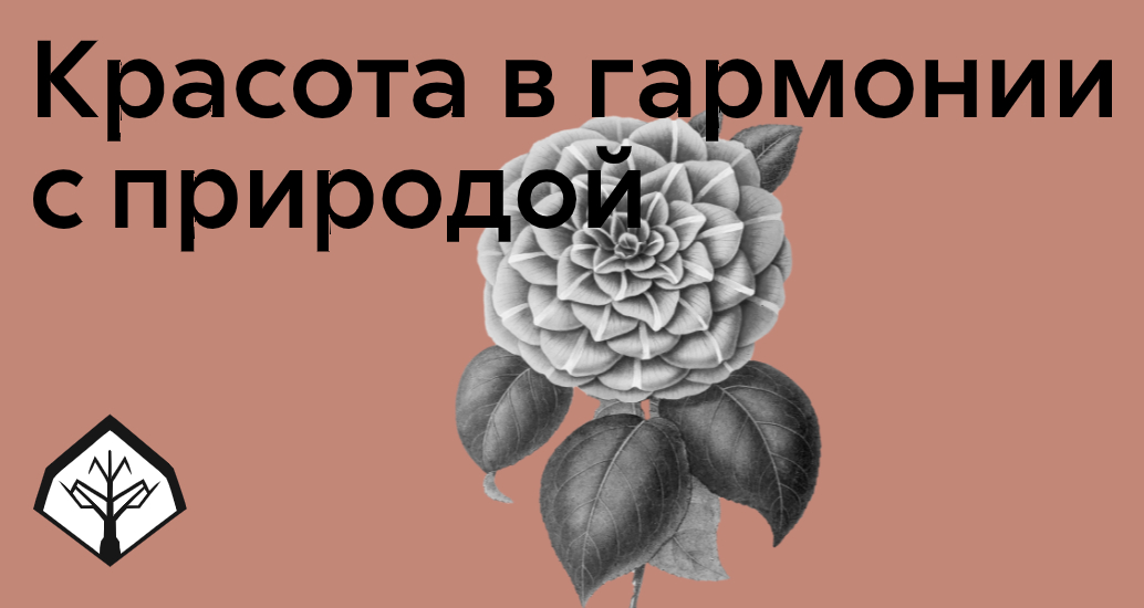 Логотип компании «АлтайУлу» 5