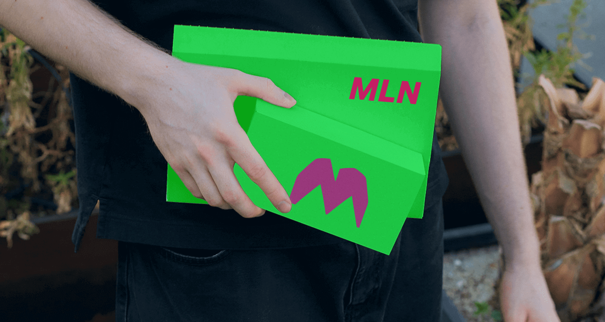 Company logo «MLN» 3