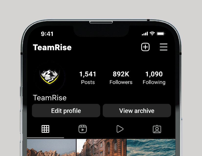 Logo of TeamRise
