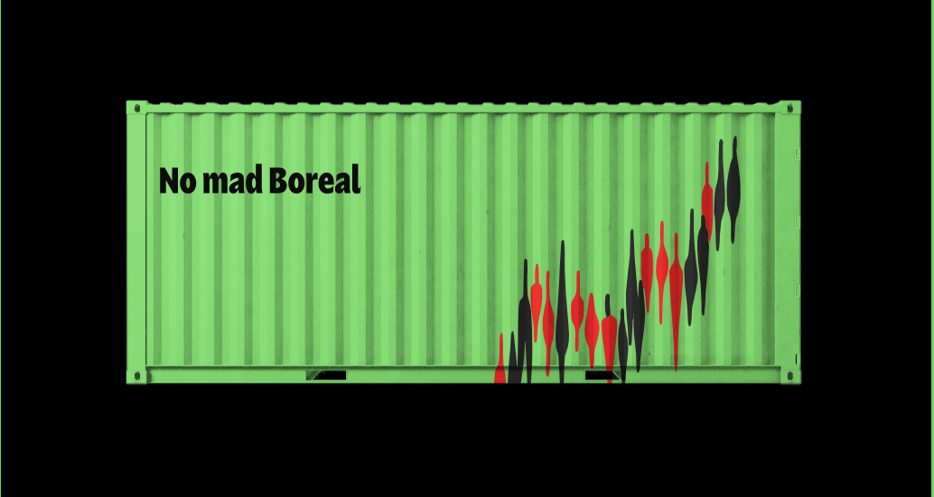 Company logo «No mad Boreal» 2