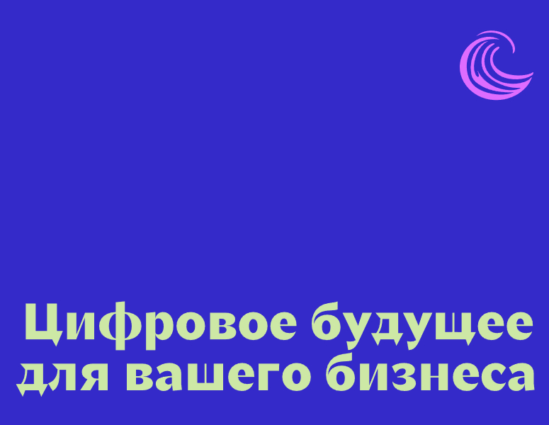 Company logo «numami» 5