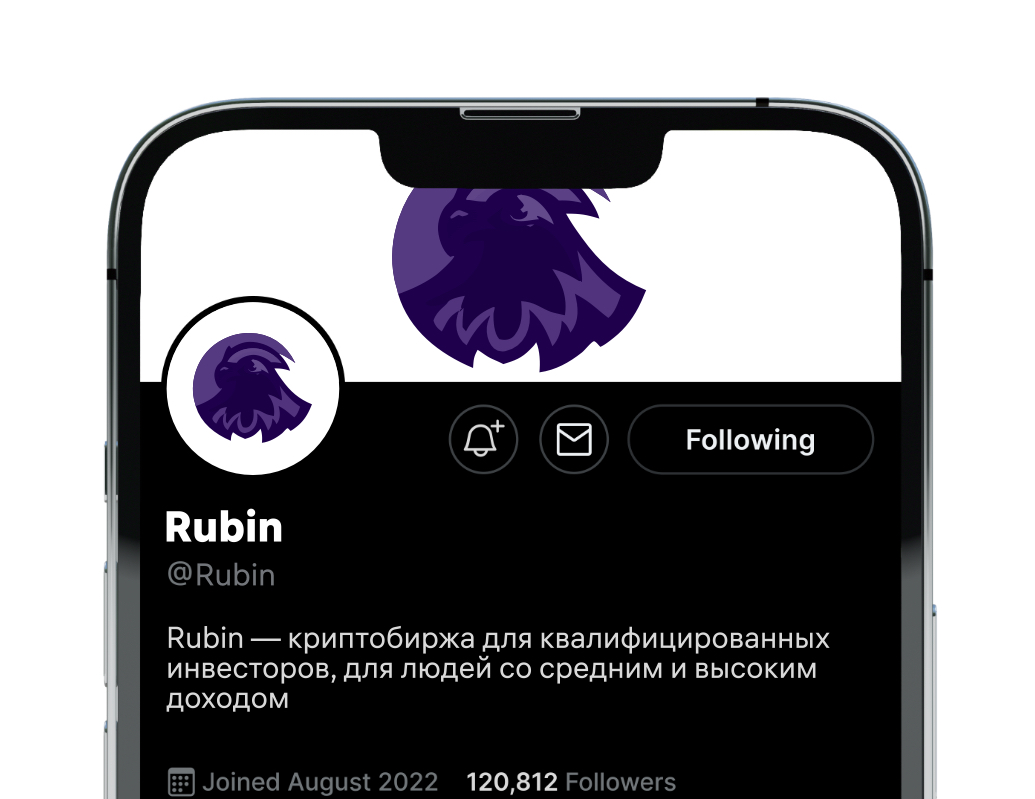 Logo of Rubin