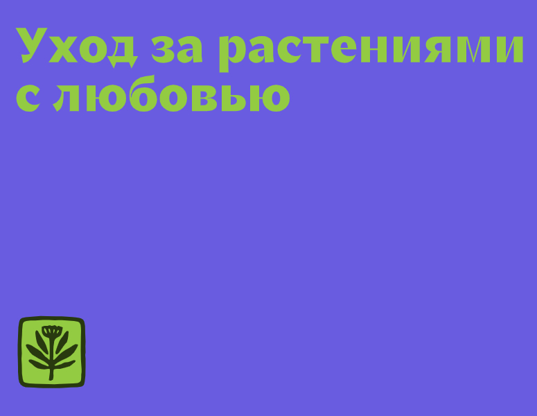 Логотип компании «джунгли» 5