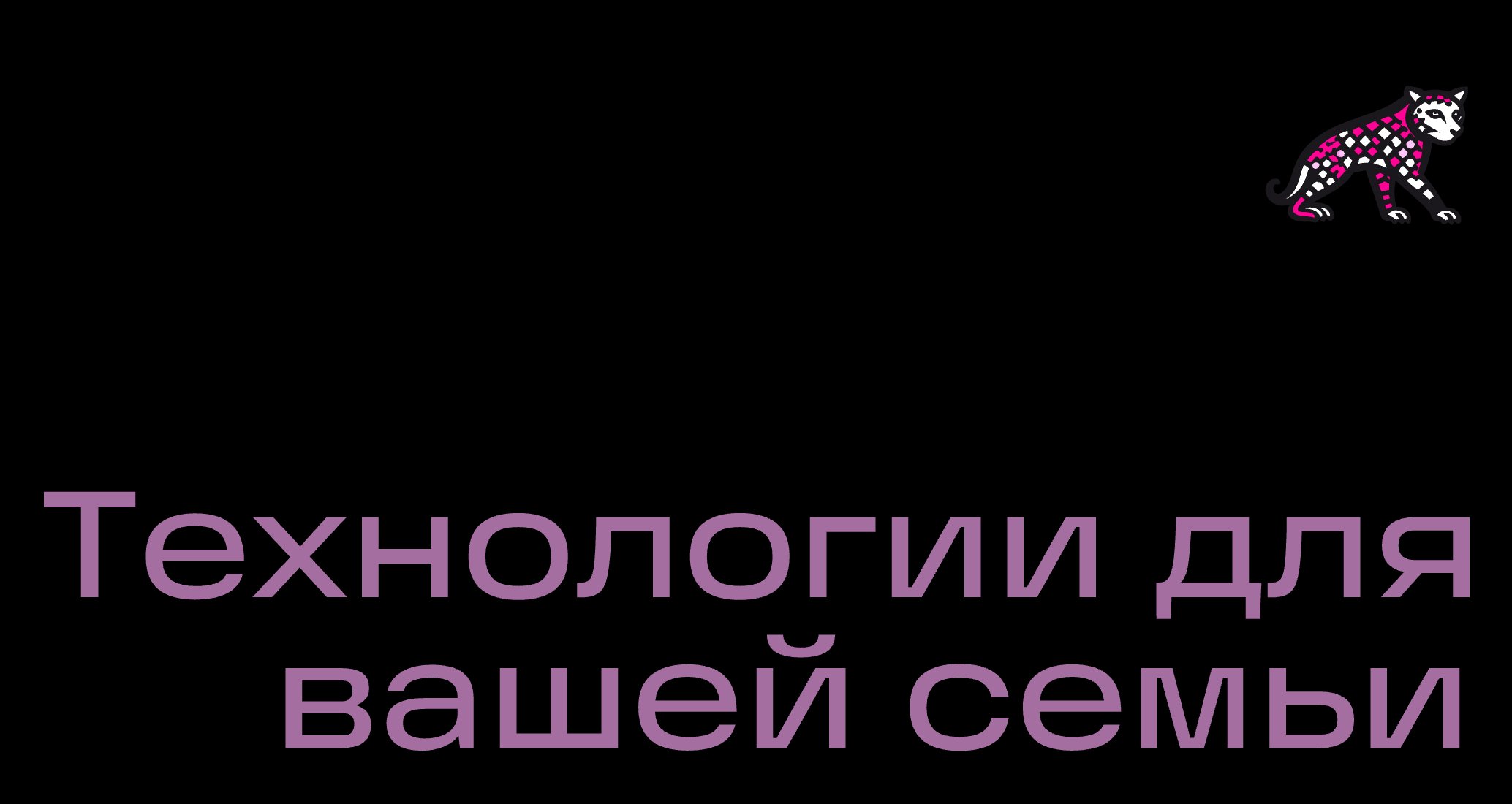 Company logo «IRBIS» 5