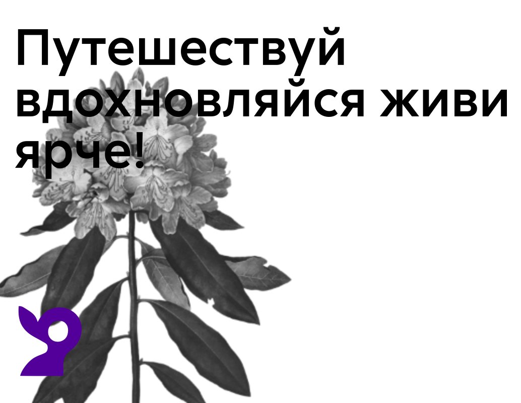 Логотип компании «RODIONOV TOUR» 5