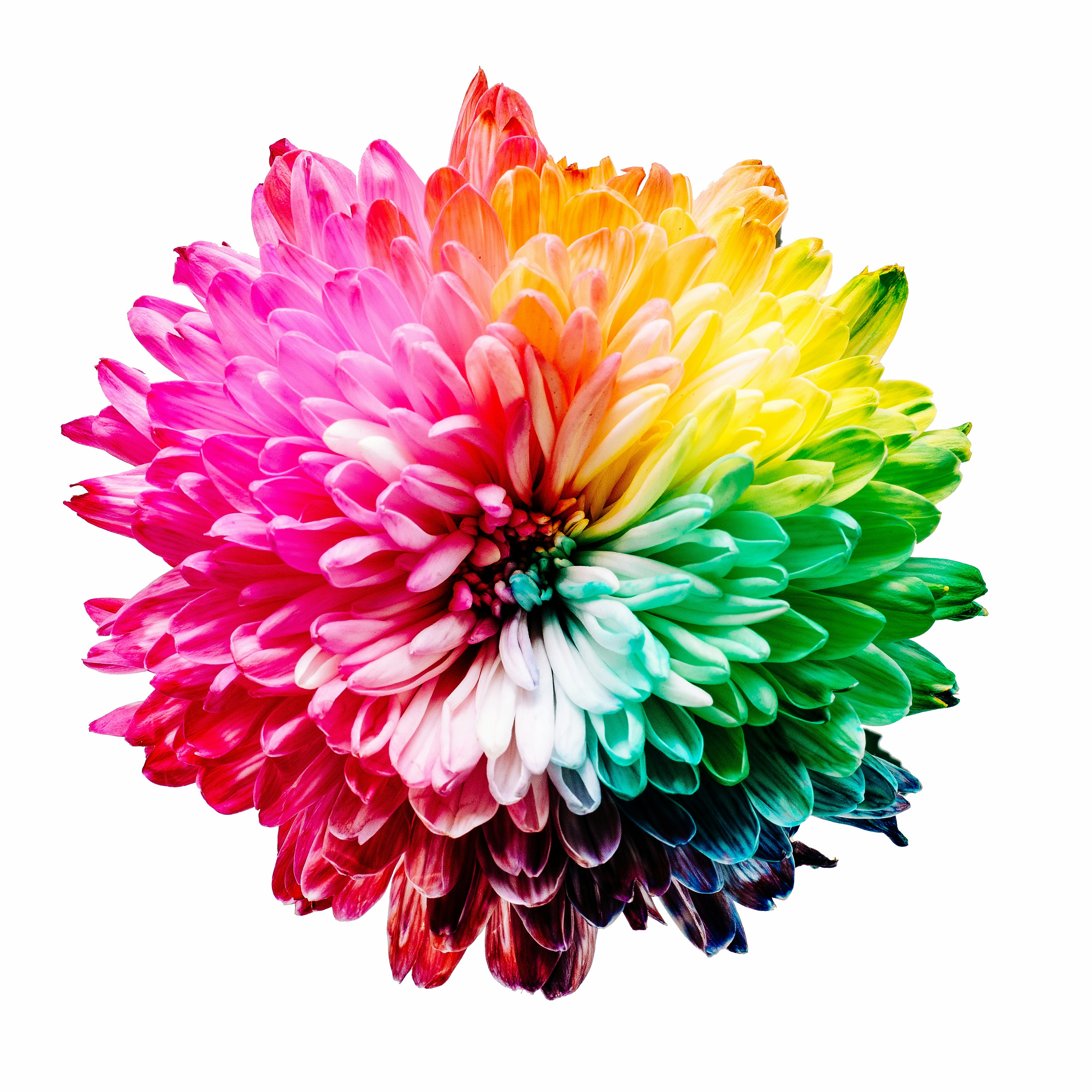 Image color-wheel
